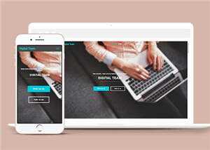 简洁数字团队服务展示响应式网页模板下载 - 网创智汇