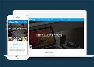 简洁企业咨询服务展示HTML网页模板下载 - 网创智汇