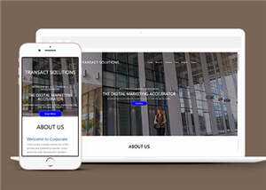 简约公司项目解决方案HTML网页模板下载 - 网创智汇
