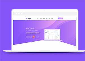 简约软件开发企业网站模板下载 - 网创智汇