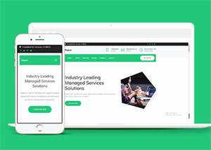 互联网增值服务公司网站模板下载 - 网创智汇