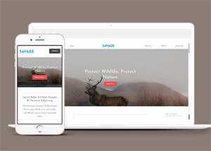 保护野生动物响应式网站模板下载 - 网创智汇