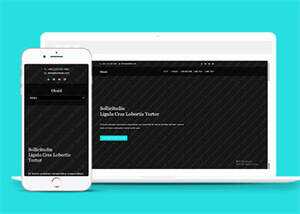 旅游景点展示类网站模板下载 - 网创智汇