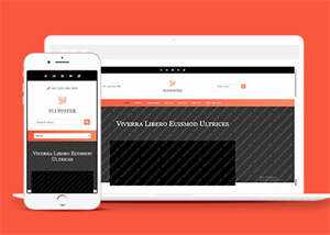 响应式橘红色企业公司网站模板 - 网创智汇