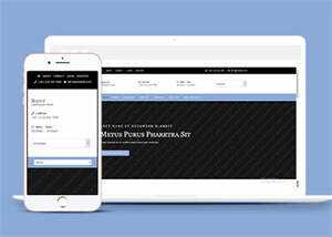 简洁浅蓝色企业CSS3网站模板 - 网创智汇