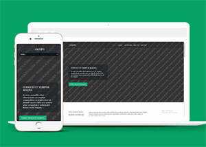 响应式野外游泳爱好者网站模板 - 网创智汇