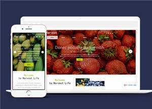 响应式果蔬大棚企业源码模板下载 - 网创智汇