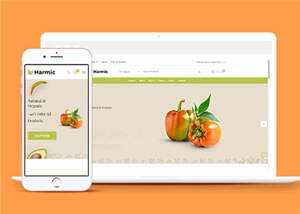 简洁蔬菜水果超市电商网站模板源码下载 - 网创智汇