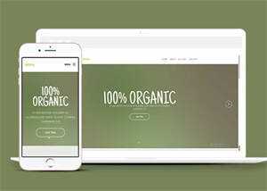 简洁绿色主题公司网站模板下载 - 网创智汇