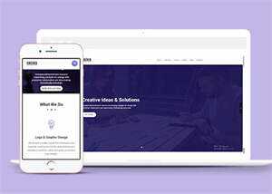 企业协作软件开发网站模板源码 - 网创智汇