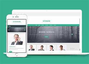 宽屏绿色环保外贸服务公司模板 - 网创智汇