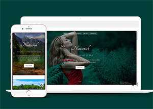 宽屏旅游温泉响应式网站模板 - 网创智汇