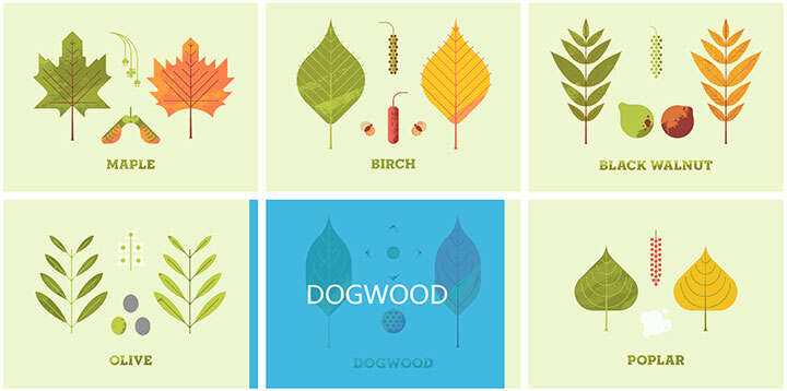 jQuery列表图片鼠标悬停感知方向遮罩层移动特效 - 网创智汇