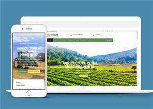 宽屏农业生产项目html模板下载 - 网创智汇