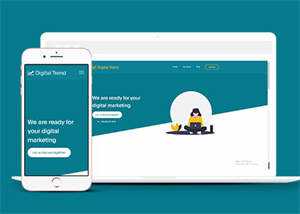 宽屏保险公司客户服务网站模板 - 网创智汇