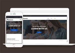 宽屏在线课程学习网站模板下载 - 网创智汇