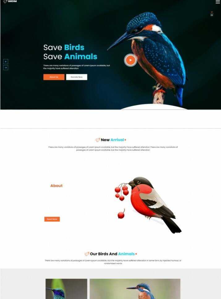 拯救鸟类拯救动物HTML5网站模板 - 网创智汇