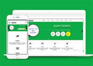 简洁品牌策划类网站前端模板下载 - 网创智汇