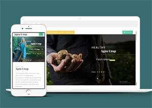 足球运动直播网站响应式模板 - 网创智汇