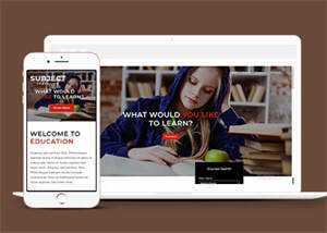 简洁图书馆在线书城网站模板 - 网创智汇