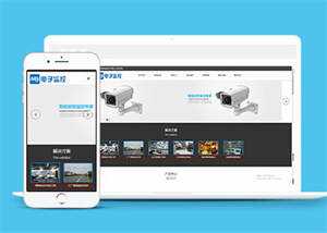 响应式数字防盗类网站前端模板 - 网创智汇