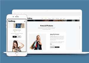 简洁产品资源展示公司html模板下载 - 网创智汇