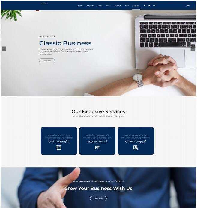 品牌设计数据营销机构网站模板 - 网创智汇