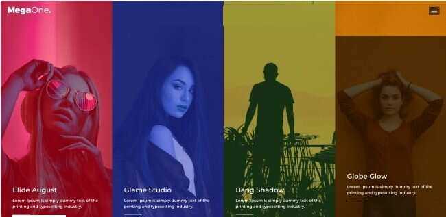 演唱会嘉宾宣传介绍网页模板 - 网创智汇