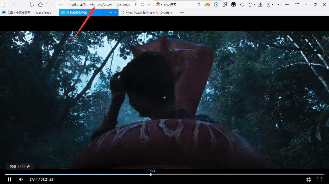 迪奥VIP视频解析客户端PHP源码 - 网创智汇