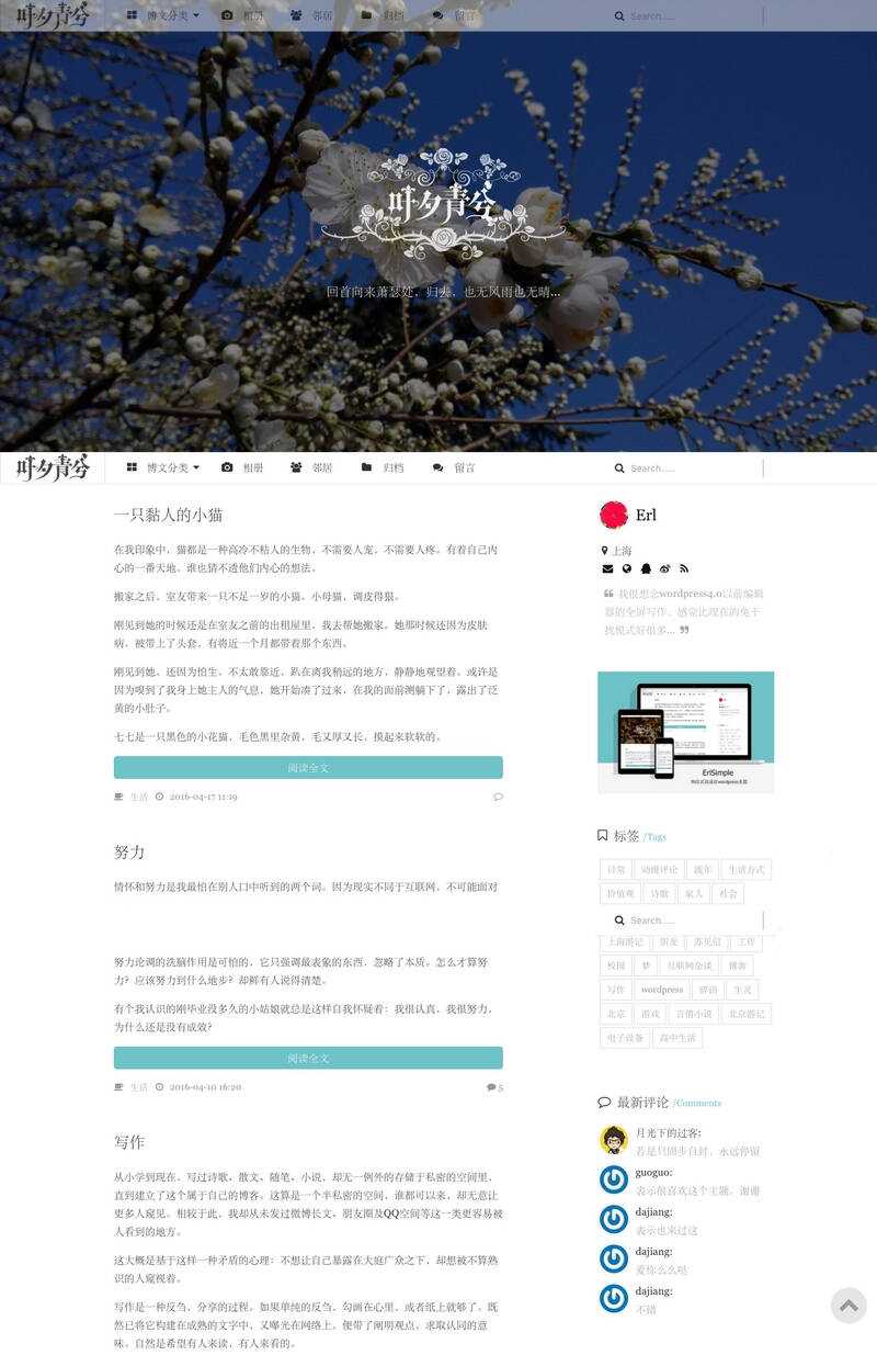 wordpress极简优秀的博客主题–ErlSimpleV1.5主题 - 网创智汇