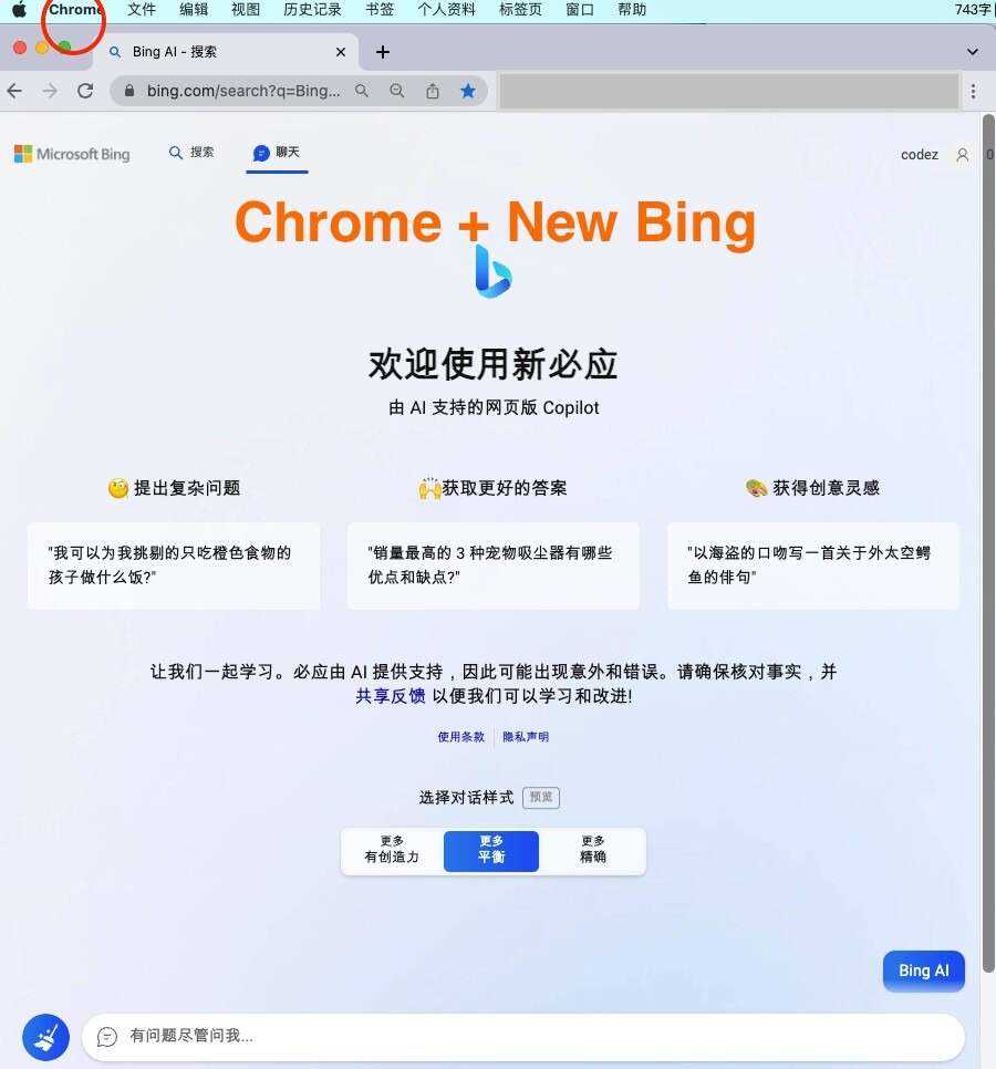 微软New Bing完美聊天机器人源码，支持ChatGPT提示词 国内可用，基本兼容微软 Bing AI 所有功能 - 网创智汇