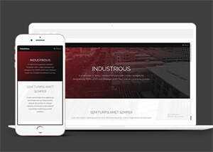 响应式前端框架skin网站模板 - 网创智汇