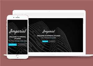 平面设计创意工作室响应式网页模板 - 网创智汇