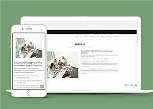 网页设计优化机构响应式网页模板 - 网创智汇