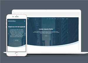 企业业务案例展示响应式网页模板下载 - 网创智汇