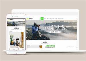 宽屏广告品牌设计类网站模板源码 - 网创智汇