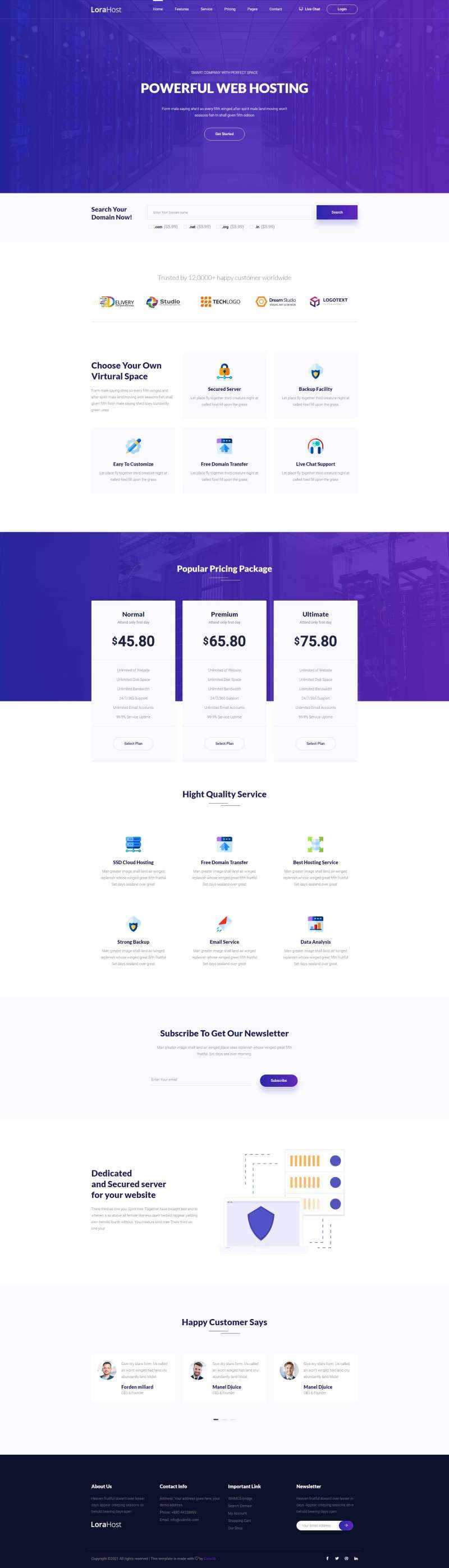 紫色的虚拟主机域名托管服务网站html模板 - 网创智汇