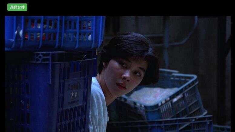 H5视频播放器源码_支持本地选择视频播放，带截图功能 - 网创智汇