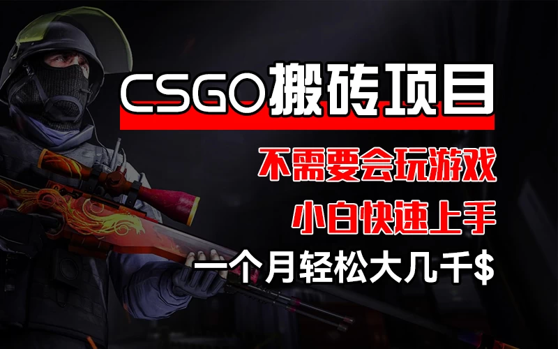 CSGO 装备搬砖项目，操作简单，不需要会玩游戏，小白也能快速上手，一个月轻松大几千 - 网创智汇
