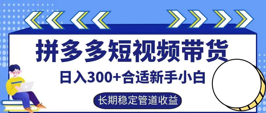 拼多多短视频带货日入300+保姆级实操账户展示 - 网创智汇