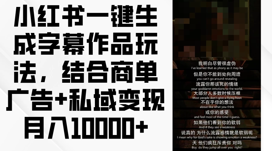 小红书一键生成字幕作品玩法，结合商单广告+私域变现月入10000+ - 网创智汇