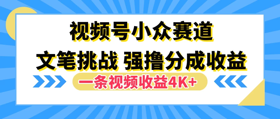 视频号小众赛道，文笔挑战，一条视频收益4K+ - 网创智汇