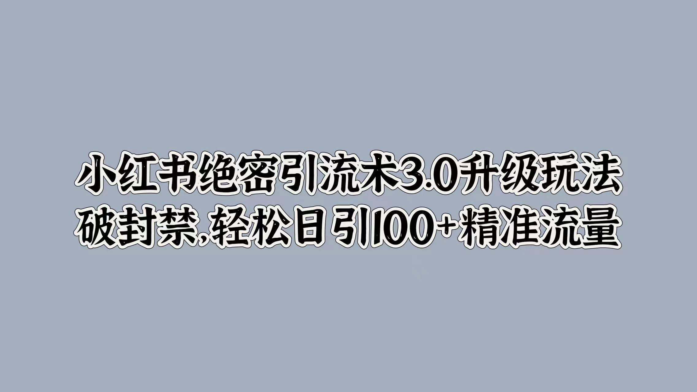 小红书绝密引流术3.0升级玩法，破封禁，轻松日引100+精准流量 - 网创智汇