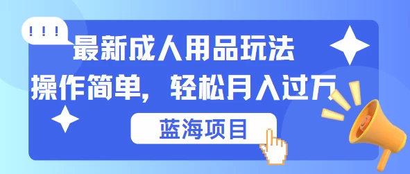 最新成人用品项目玩法，操作简单，蓝海项目轻松月入过万 - 网创智汇