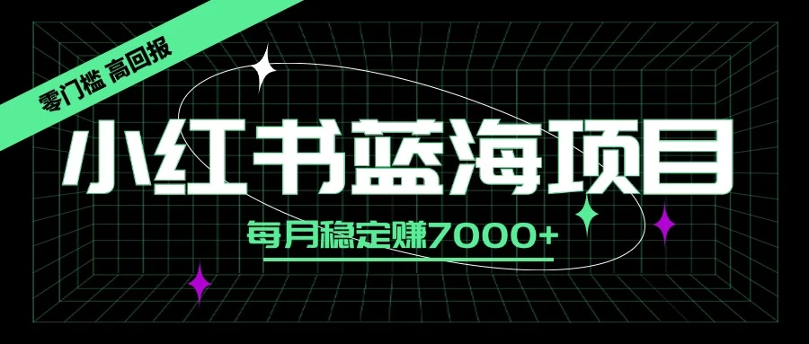 小红书蓝海项目，零门槛、高回报，每月稳定赚7000+ - 网创智汇