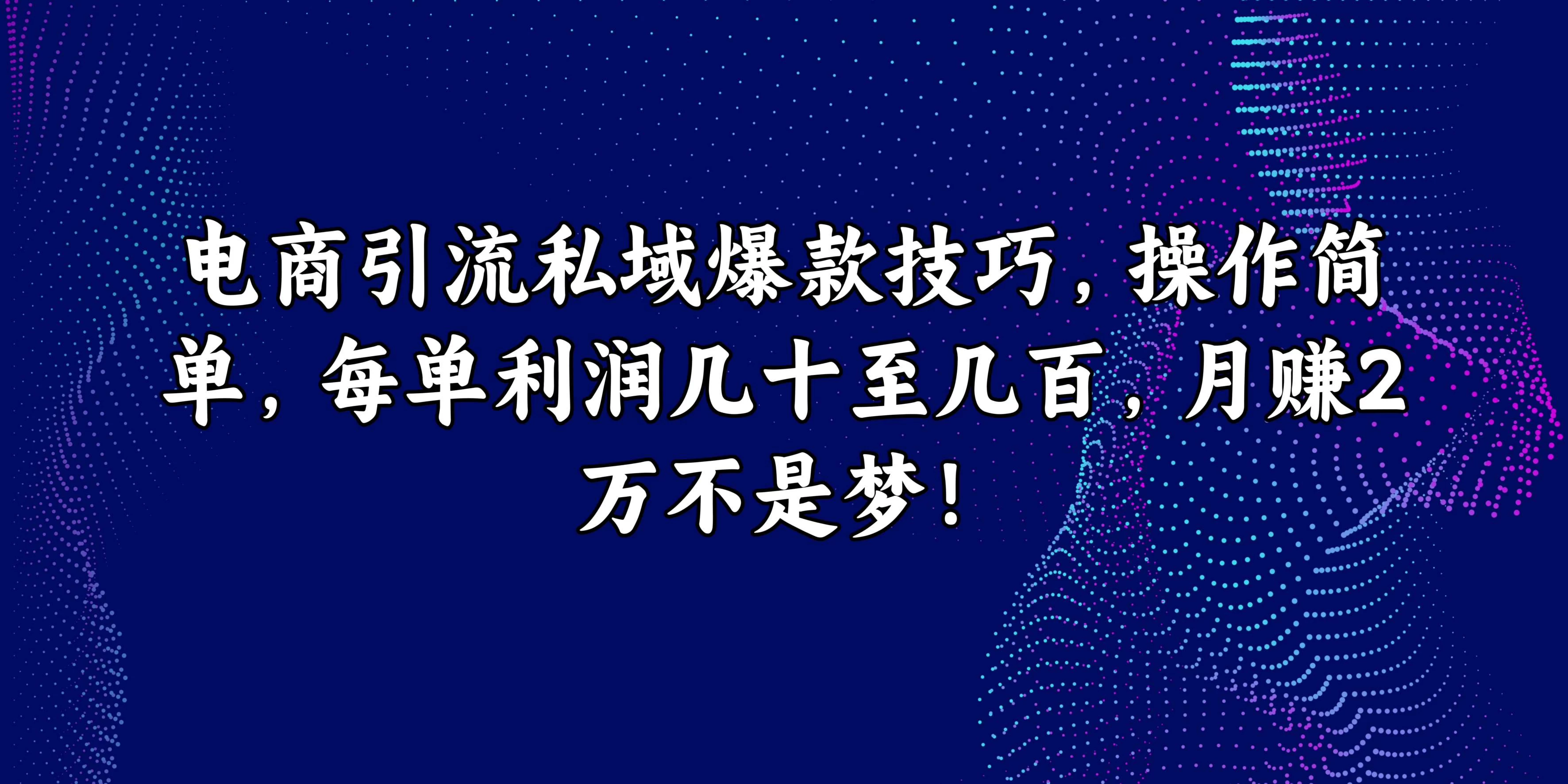 电商引流私域爆款技巧，操作简单，每单利润几十至几百，月赚2万不是梦！ - 网创智汇
