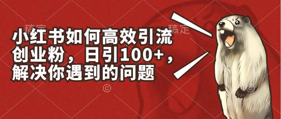小红书如何高效引流创业粉，日引100+，解决你遇到的问题 - 网创智汇
