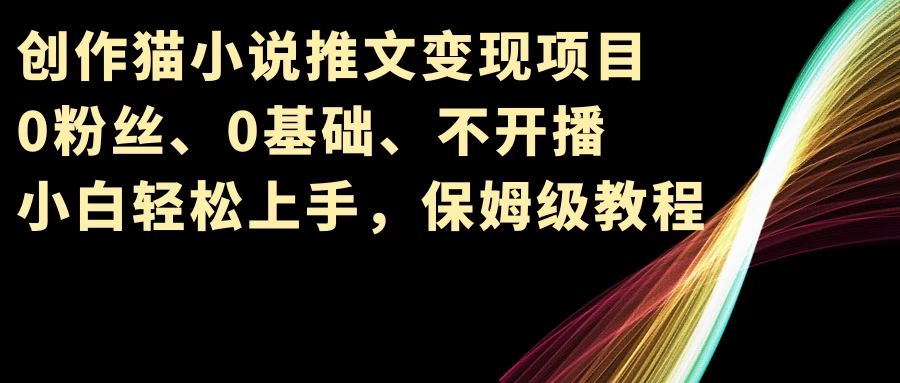小说推文变现项目，0粉丝、0基础、不开播、小白轻松上手，保姆级教程 - 网创智汇