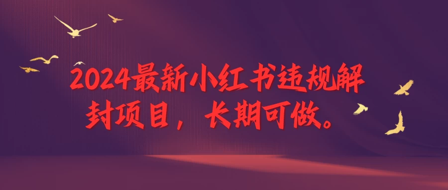 2024最新小红书违规解封项目，一个可以做到退休的项目 - 网创智汇