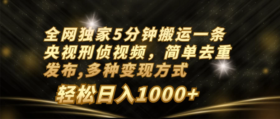 全网独家5分钟搬运一条央视刑侦视频，简单去重发布，多种变现方式，轻松日入1000+ - 网创智汇